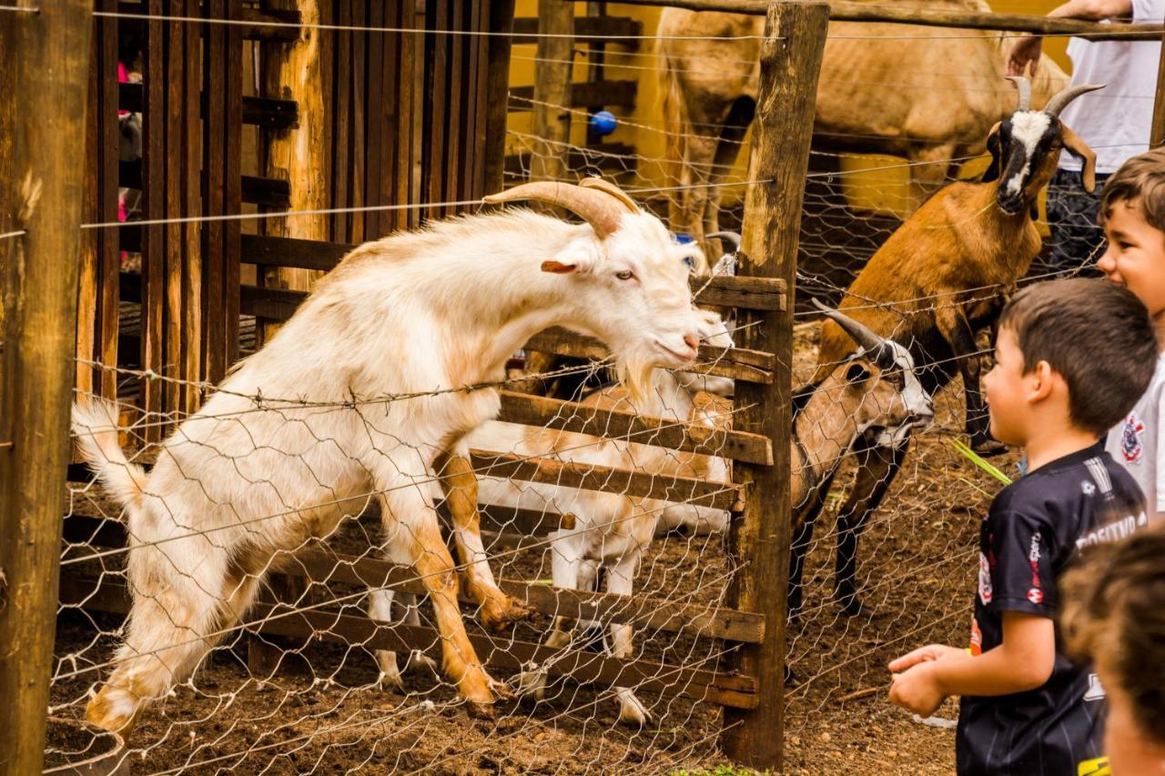 Pousada Country Santana'S Ranch Sao Pedro  Zewnętrze zdjęcie